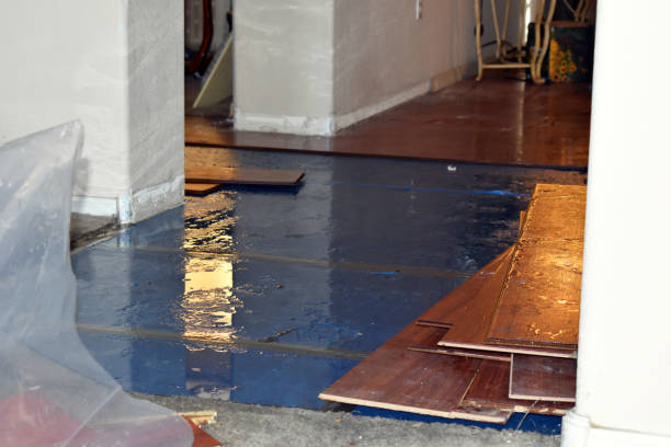 Professional Flood Cleanup technician working in Woodland, MI